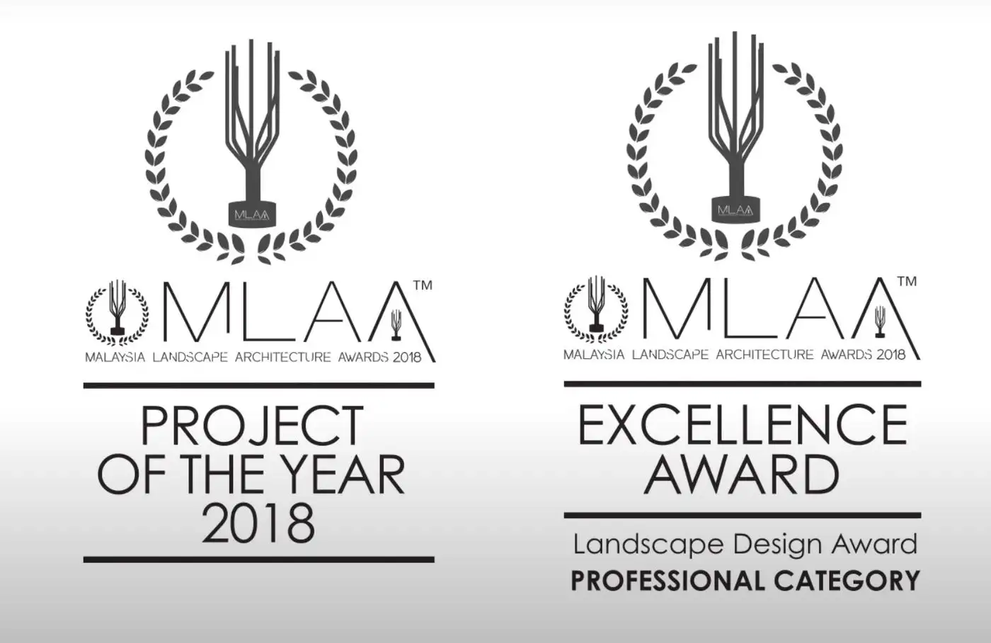 MLAA AWARDS